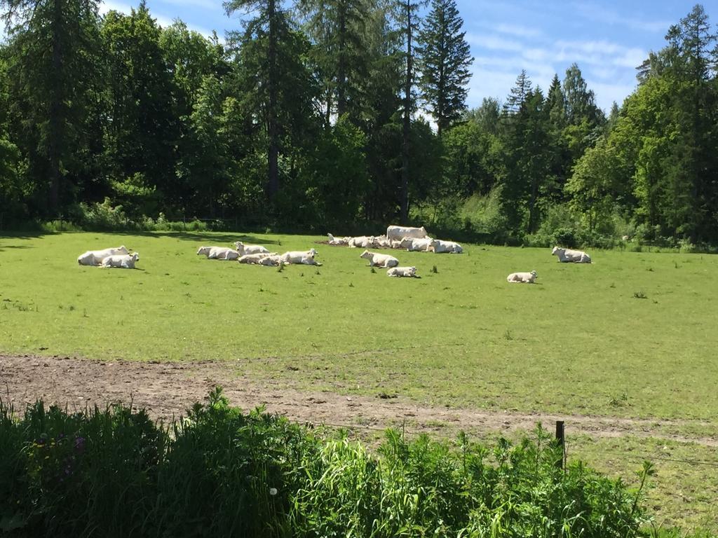 Villa Tuomiranta Sannäs Kültér fotó